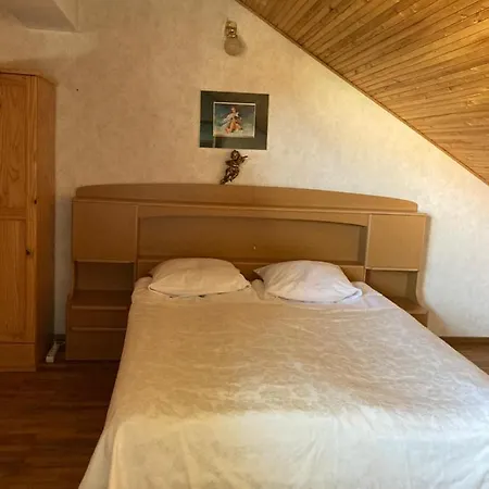 Du Broliai Apartment *